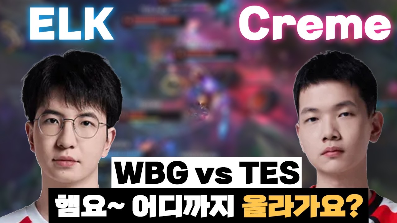 햄아~ 어디까지 올라가는거에여? 정상갑니까? [WBG vs TES] [LPL 하이라이트] [롤뚱]