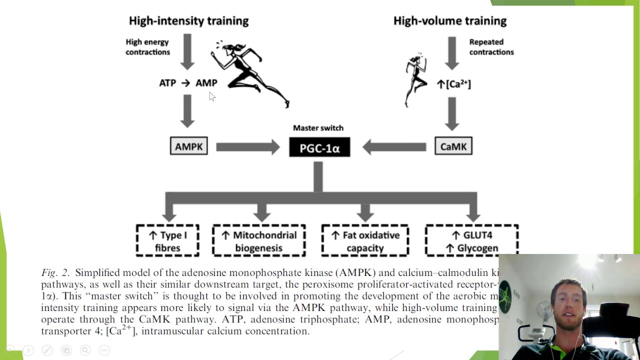 Training To Improve Vo2 Max The Mets Mastermind Youtube