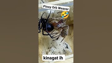 Thumbnail of Kinagat eh 🤣