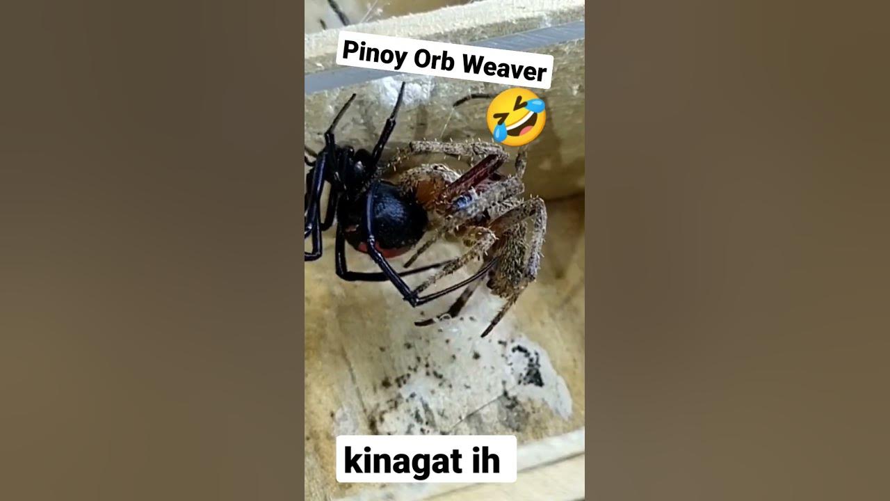 Kinagat eh 🤣