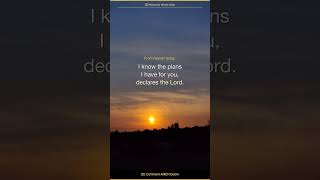 Heaven Says: I Know the Plans I Have For You 🕊️