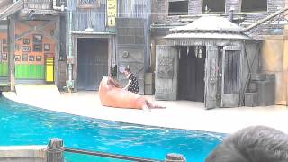 VIDEO0054.mp4