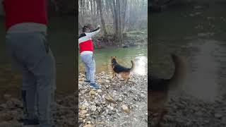 Böyle Köpek Görülmedi Mex