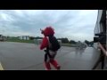 Benny the Bull Skydiving with the Army Golden Knights