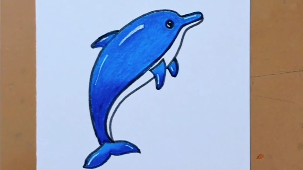 How to Draw Dolphin | Dolphin Drawing for Kids