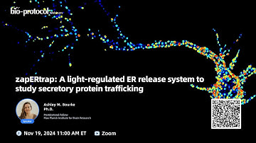 zapERtrap: A light-regulated ER release system to study secretory protein trafficking #Webinar