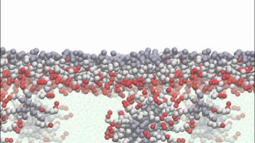 Force Field Parameters from the SAFT-γ Equation of State: Supplemental Video 1