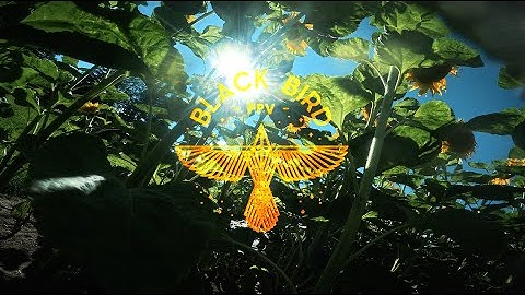 BLACK BIRD FPV - FPV FREESTYLE - 🥷THIS IS HOW FLY THE BB NEXT LEVEL PRESET 🥷