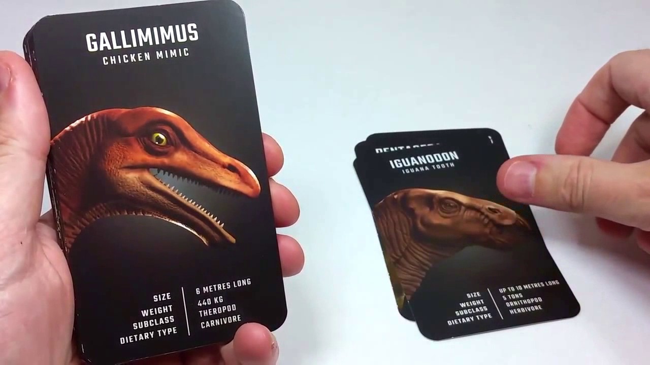 Dino 4D+