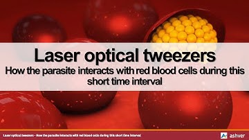 Laser optical tweezers - How the parasite interacts with red blood cells during this short time ...