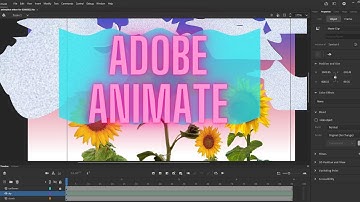 Adobe Animate Gradient Tutorial For Beginners (2022)