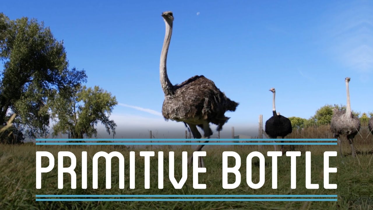 Ostrich Egg and Bottle Gourd Primitive Bottles How To Make Everything Bottle (2/4) YouTube