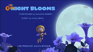 Ari Maya - Ay Çiçekleri