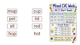Skills 1 Lesson 1 5 Spelling Words Mixed CVC words; all five short vowels