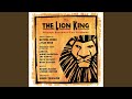 They Live in You (From "The Lion King"/Original Broadway Cast Recording)
