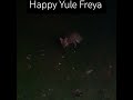 Happy Yule, Freya. #Freya #foxes #garden #shorts