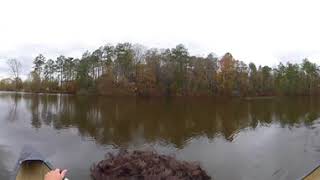 Canoe Ride | Forestry VR 360