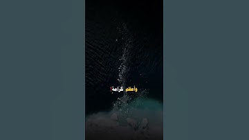 #قرآن #اكسبلور #آيات #دويتو #ذكر #حالات واتس #اسلاميات #لايك #تلاوة #duet 14