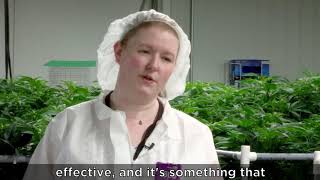 JWC Partnership with SHYIELD™