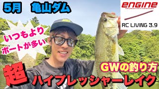 5月【亀山ダム】GWに亀山湖へ！GW攻略します！初心者向け　三島ダム　片倉ダム　高滝ダム　バス釣り　ベローズギル