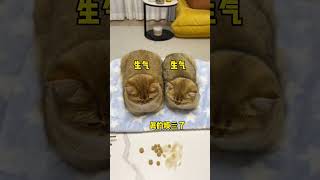 【牛奶是只猫】五个圣诞树大家觉得哪个配色好看呢？一猫一个不偏不倚哈哈哈哈