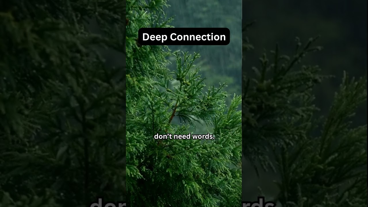 Deep Connection 