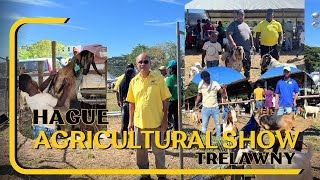 HAGUE AGRICULTURAL & INDUSTRIAL SHOW TRELAWNY 2024