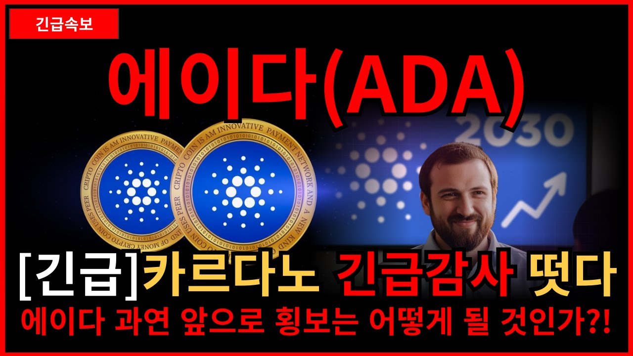 [에이다]카르다노 긴급감사 떳다 앞으로의 전망은 어떻게 될 것인가 ?!