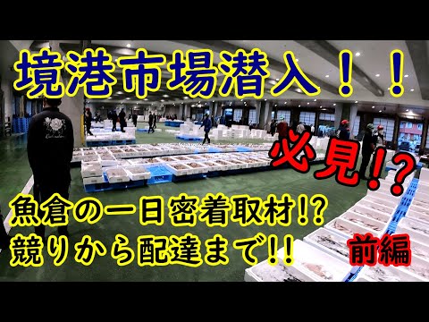 【鳥取県】魚倉の一日密着取材‼【境港】