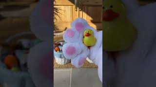 🐰🥚The Easter Bunny arrived