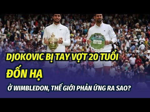 Video: Wimbledon Fortnight - Giải Grand Slam lớn nhất của quần vợt sân cỏ