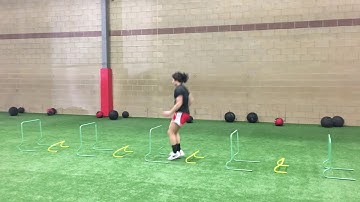 Hurdle Jump with a Bounce