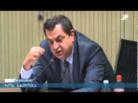 დავით ბერძენიშვილი: საუბარი იმაზე, რომ ქართული დიპლომატია არ მუშაობს არის უნიჭო ტყუილი