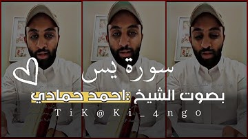 سورة يس القارئ احمد حمادي