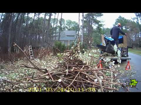 Job 177 Apex NC Yard Waste Cleanup - YouTube