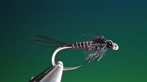Fly tying a Pheasant tail black with Barry Ord Clarke