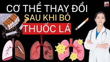 Cơ Thể Thay Đổi Ra Sao Sau 1 Năm Cai Thuốc Lá?