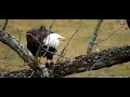 Decorah Eagles North 12/17/23 nice fish dinner for Mr.