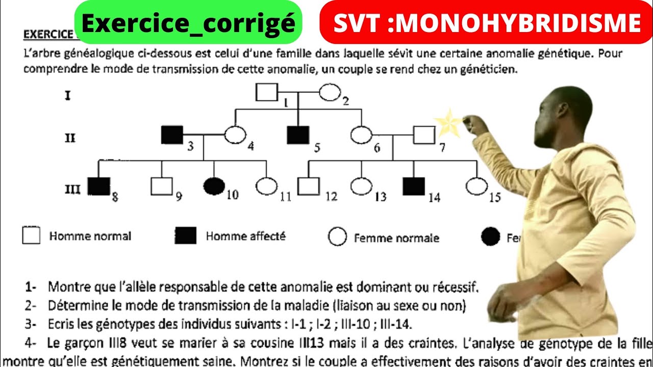 SVT||Monohybridisme#Dominance/récessif_lié au sexe/autosomal.