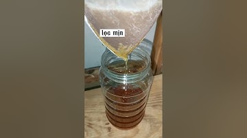 hướng dẫn vắt mật ong đúng cách