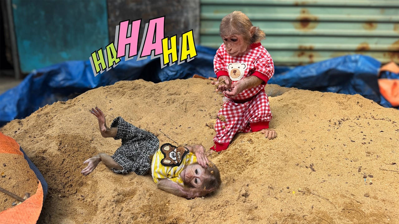 Lucky and Sunny play with sand – the ending gives Mom a headache!