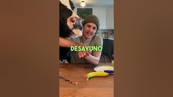 YOUR PET IS A COW!😅🥰
