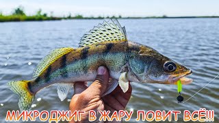 МИКРОДЖИГ в жару ловит ВСЁ!!! Наловил окуней, бершей, судаков!!!