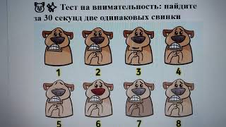 🐷✨ Тест на внимательность: найдите за 30 секунд две одинаковых свинки