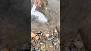 A portable device capable of gold panning both on and underwater. #Gold #SiphonGoldDredge