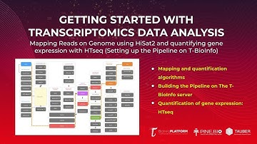 Bulk RNA-Seq Data Analysis: Mapping with HiSat2 & Quantification with HTseq (Setting up Pipeline)