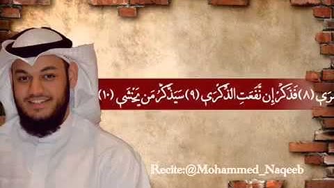 سورة الأعلى ؛ الشيخ محمد النقيب❤️