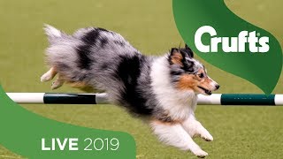 Crufts 2019 Day 2  Part 1 LIVE