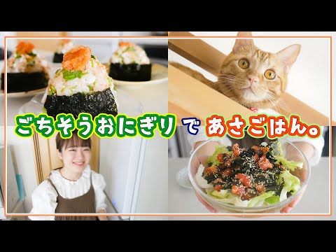 【簡単朝ごはんの支度】猫と具沢山ごちそうおにぎり＆チョレギサラダ作り【料理音フェチ】