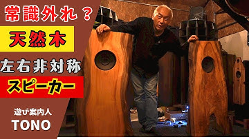 【大成功！？】左右非対称の平面バッフルスピーカーを天然木で作る！オーディオの常識を打ち崩す！！フィリップスの20センチフルレンジがうなる！！
